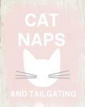 Cat Naps and Tailgating