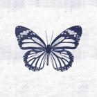 Blue Butterfly III