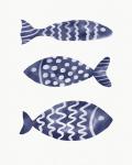 Three Blue Fish on White