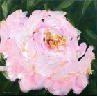 Peony