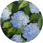 Hydrangeas