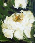 White Peony