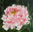 Peony