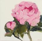 Peony I