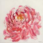 Peony