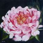 Peony II