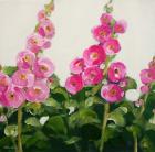 Hollyhocks