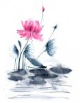 Pink Flower and a Lily Pad