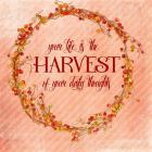Your Life is the Harvest