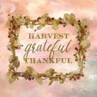 Harvest, Grateful, Thankful