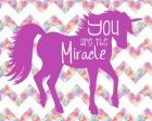 You Are the Miracle