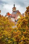 Fall Colors of Rothenburg III