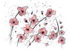 Pink Flowers I