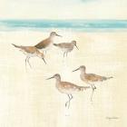 Sand Pipers Square I