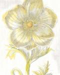 Belle Fleur Yellow II Crop