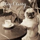 Cafe Pug Stay Classy