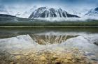 Waterfowl Lake I