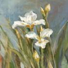 Spring Iris II