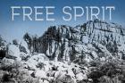 Ombre Adventure VI Free Spirit