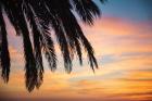 Sunset Palms I