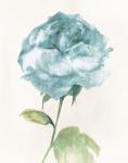 Antique Floral on Cream II Blue