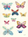 Butterfly Charts I