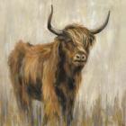 Highland Mountain Cow