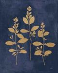 Botanical Study IV Gold Navy