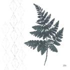 Nordic Fern II