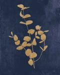 Botanical Study II Gold Navy