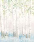 Soft Birches III