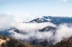 Hurricane Ridge II