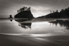 Little James Island Reflection