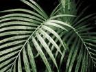 Palm Fronds Green