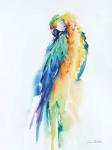 Colorful Parrots II