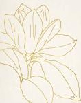 Gold Magnolia Line Drawing v2 Crop