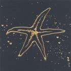 Gold Starfish I