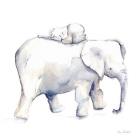 Baby Elephant Love III