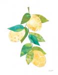 Summer Lemons II