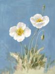 White Poppies I No Butterfly