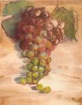 Grape Harvest II No Label