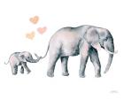 Elephant Love