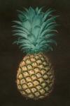 Vintage Pineapple I