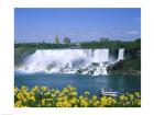 Flowers in front of a waterfall, American Falls, Niagara Falls, New York, USA