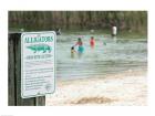 Alligators warning sign at the lakeside, Florida, USA