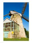 Traditional windmill at a sugar mill, Morgan Lewis Sugar Mill, Scotland District, Barbados