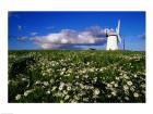 Ballycopeland Windmill, Millisle, Northern Ireland