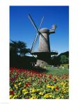 USA, California, San Francisco, Golden Gate Park, windmill