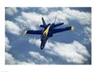 U.S. Navy Blue Angels F-18 Hornet