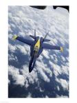 U.S. Navy Blue Angels F-18 Hornet